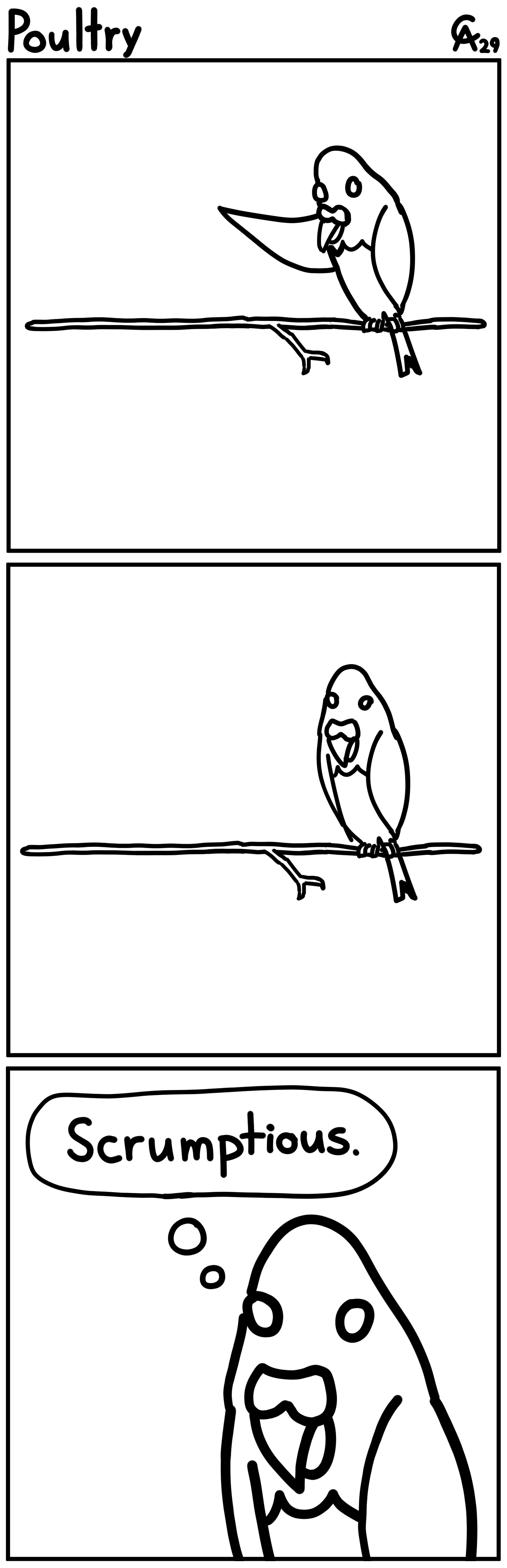 Poultry