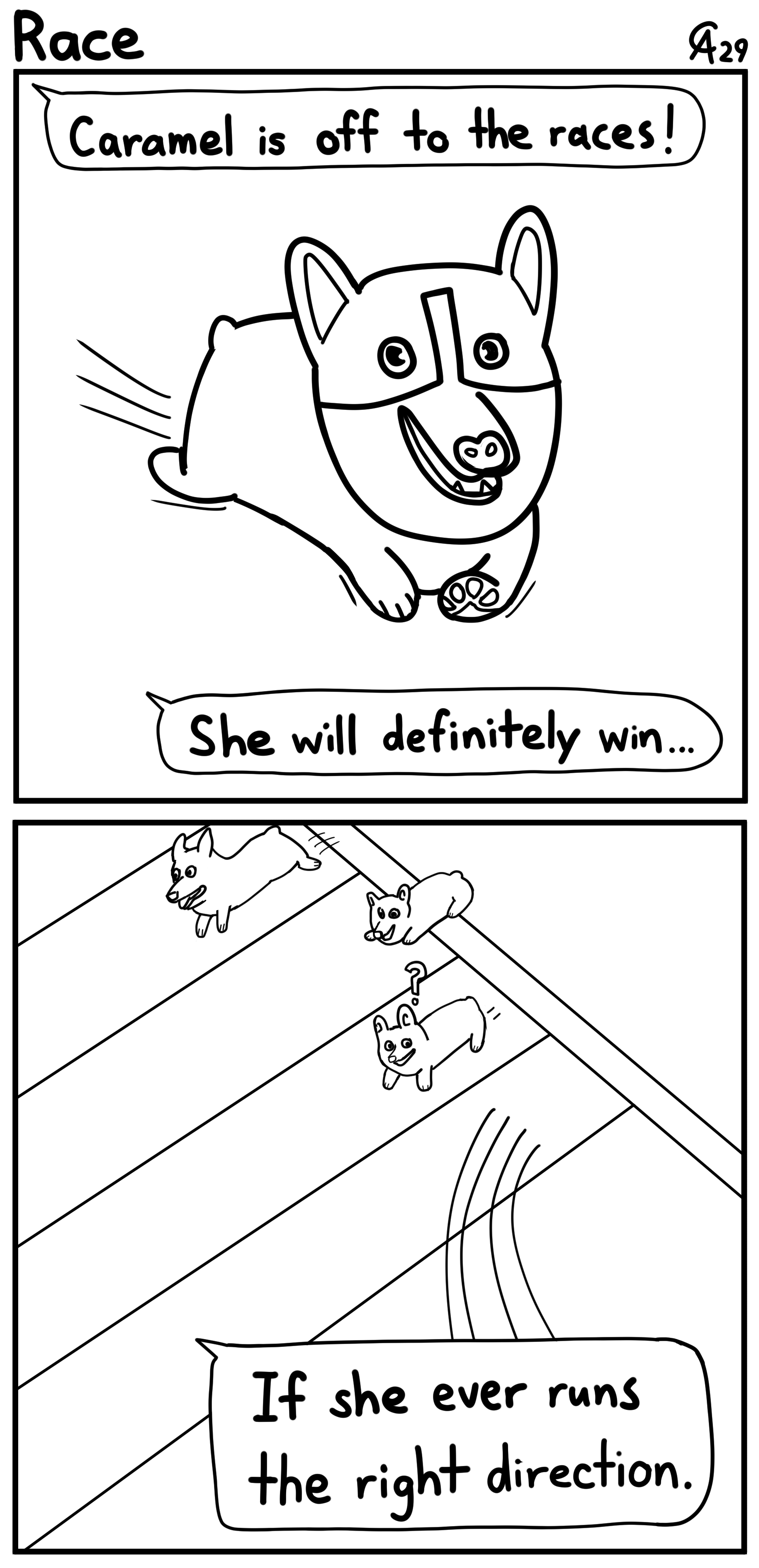 Race